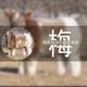 一往无前奋斗的心头像