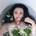大猫爱唱歌 头像