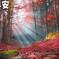 美好生活旅行者 头像