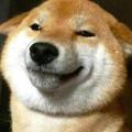 西游天竺 头像