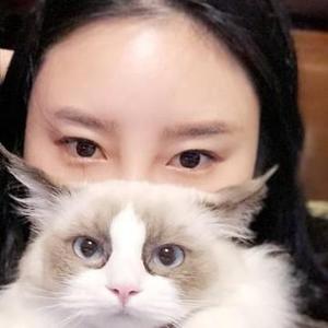 悟空问答 宠物猫咪如何预防疾病 Tiffany布偶猫猫的回答 0赞