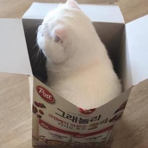 可乐必可乐