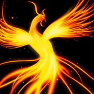 天机子胡霁鸾头像