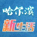 哈尔滨新生活 头像