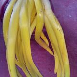 河南乡吧老南阳速升热头像