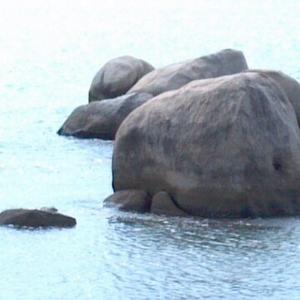 长心眼168794174