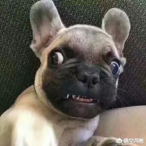 度她余生7561