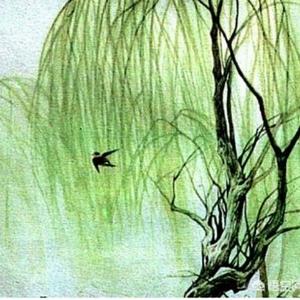 飛燕迎春3757