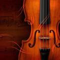 小提琴世界violin 头像