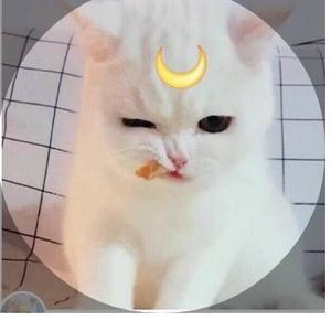 我姓张嚣张的张z