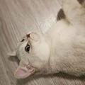 缘尽立 头像