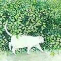 猫猫爱学习 头像