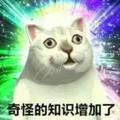 番茄751673893468468 头像