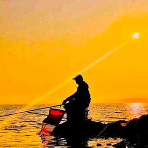 独孤夜行人 头像