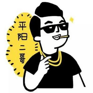 平阳二哥 头像