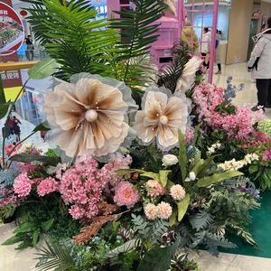 努力的gril 头像