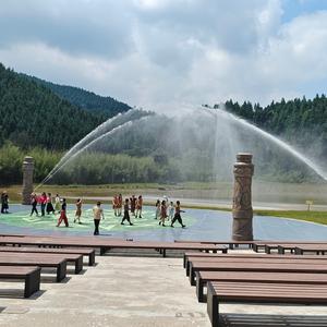 一颗普通的青豆 头像