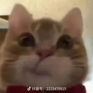 小刘来说 头像