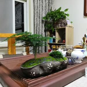 爱是永不止息0015 头像