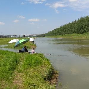 野钓江河头像