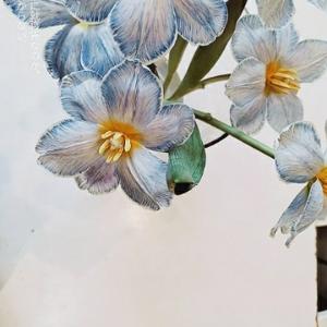 甘草闲谈 头像
