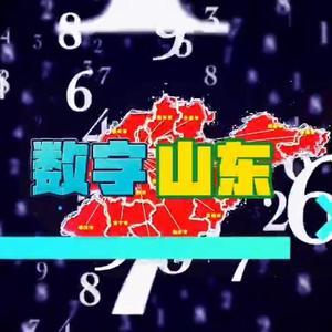 数字齐鲁 头像