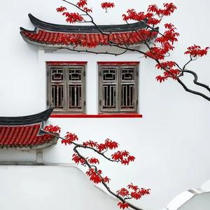 宛东罗汉山 头像