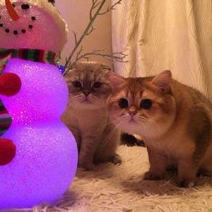 小赵说工作 头像