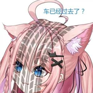 执着的花猫wi 头像