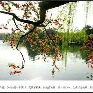 灯下读书的宁静 头像