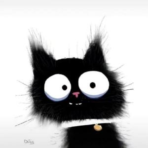 一只煤球猫 头像