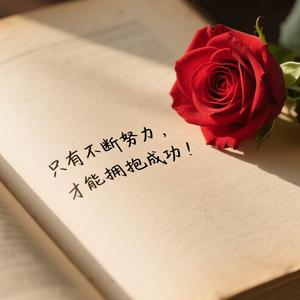 岁月宁静 头像