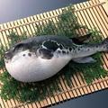 森下 头像
