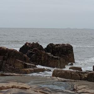 大脸猫爱吃鱼fish 头像