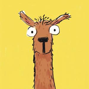 毕加索的猫 头像