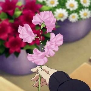 湖南人在深圳创业 头像