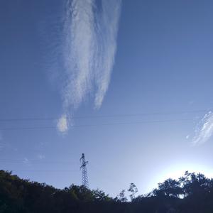 子雨霏霏如面 头像