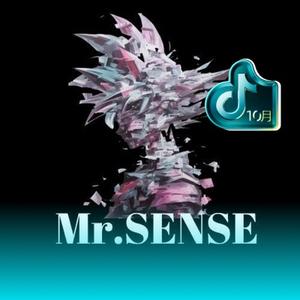 森斯SENSE头像