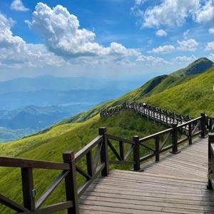 乐天派和龙9O9 头像