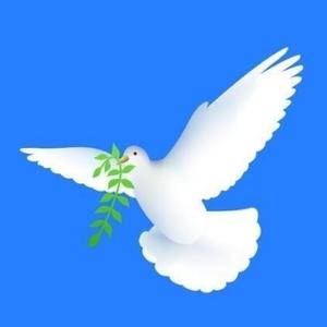 大河向东流 头像