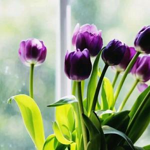 非凡湖泊3w 头像