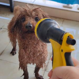 老奔的养老日记 头像