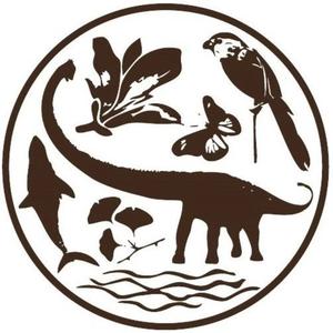 上海自然博物馆 头像