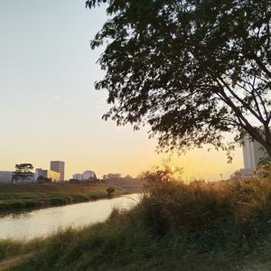 财说智能商业 头像