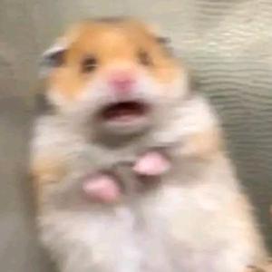 亚特兰蒂斯0909 头像