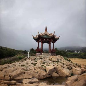 大道不空 头像