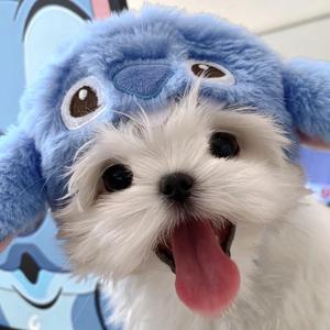 天气好好椰 头像