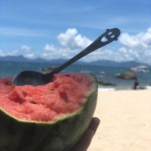 等天晴的菠萝梨 头像