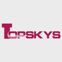 TOPSKYS显示器支架头像