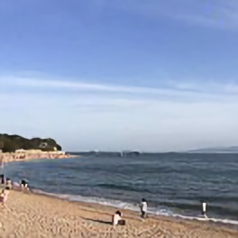 老郑洗涤用品 头像